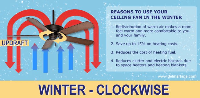 Changing the direction of your ceiling fan for each season can make a room more comfortable and save energy at the same time.